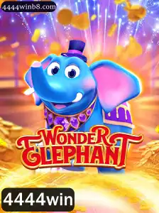 Descubra o Mundo Fascinante de WonderElephant e a Emoção do 4444win
